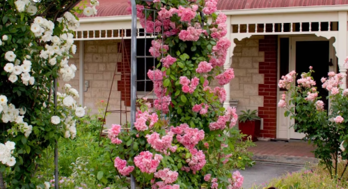 Ballara Art & Lifestyle Retreat